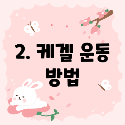 2. 케겔 운동 방법