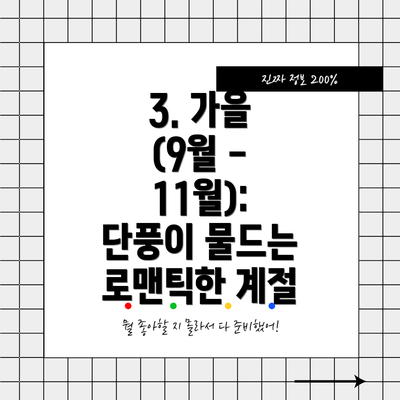 3. 가을 (9월 - 11월): 단풍이 물드는 로맨틱한 계절