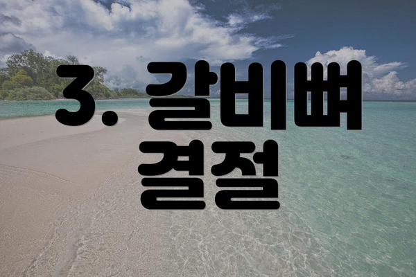 3. 갈비뼈 결절