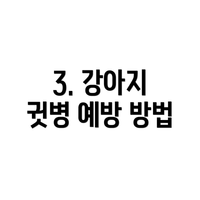 3. 강아지 귓병 예방 방법