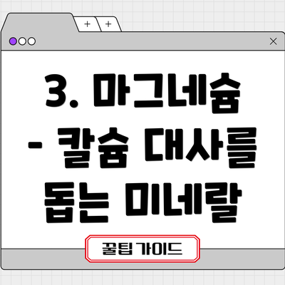 3. 마그네슘 – 칼슘 대사를 돕는 미네랄