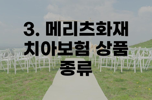 3. 메리츠화재 치아보험 상품 종류