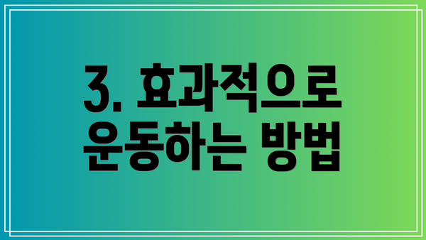 3. 효과적으로 운동하는 방법