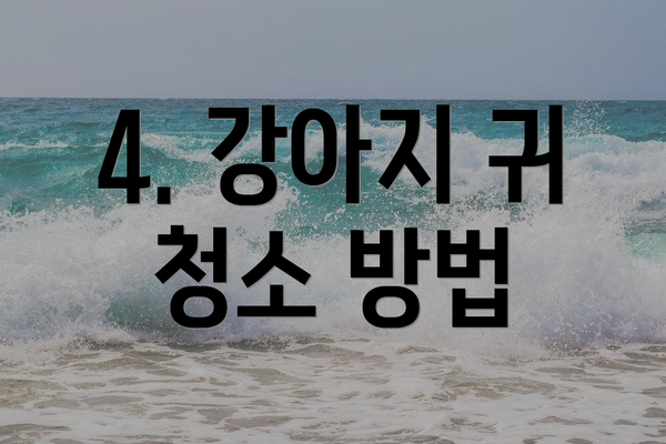 4. 강아지 귀 청소 방법