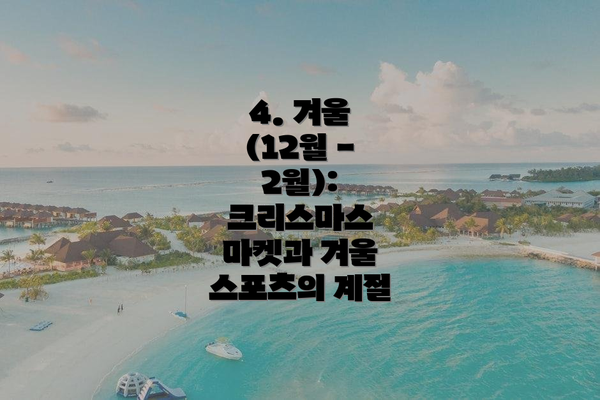 4. 겨울 (12월 - 2월): 크리스마스 마켓과 겨울 스포츠의 계절