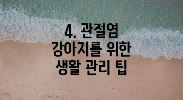 4. 관절염 강아지를 위한 생활 관리 팁