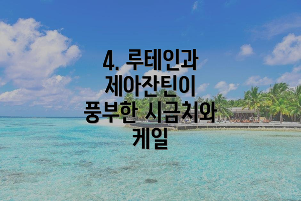 4. 루테인과 제아잔틴이 풍부한 시금치와 케일
