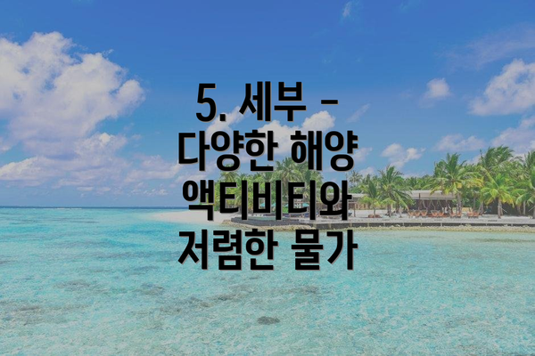5. 세부 - 다양한 해양 액티비티와 저렴한 물가