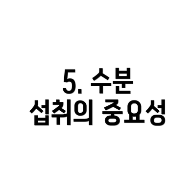 5. 수분 섭취의 중요성