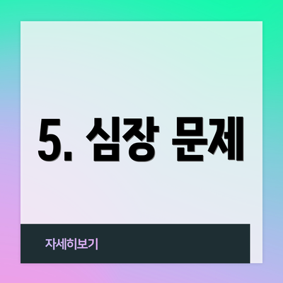 5. 심장 문제