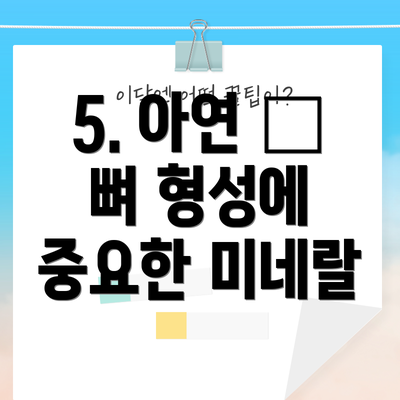 5. 아연 – 뼈 형성에 중요한 미네랄