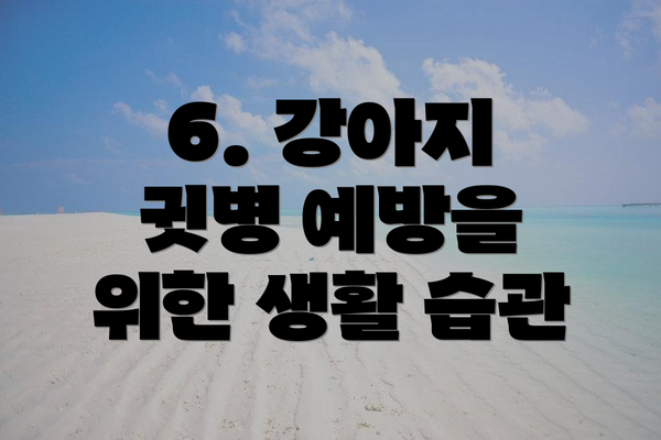 6. 강아지 귓병 예방을 위한 생활 습관