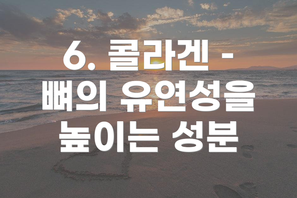 6. 콜라겐 – 뼈의 유연성을 높이는 성분