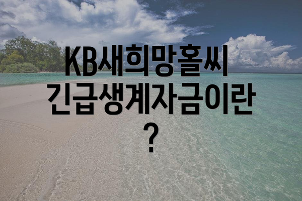 KB새희망홀씨 긴급생계자금이란?