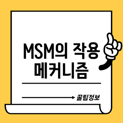 MSM의 작용 메커니즘
