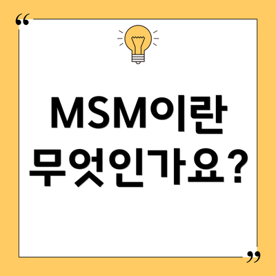 MSM이란 무엇인가요?