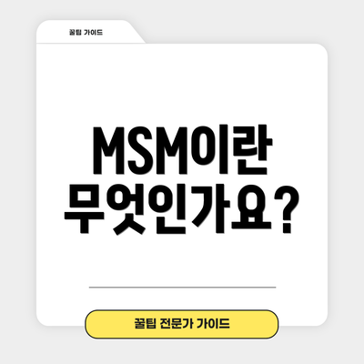 MSM이란 무엇인가요?