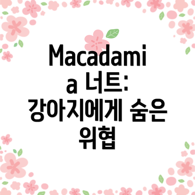 Macadamia 너트: 강아지에게 숨은 위협