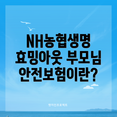 NH농협생명 효밍아웃 부모님안전보험이란?