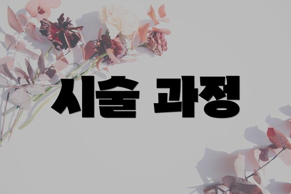 시술 과정