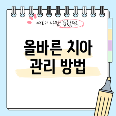 올바른 치아 관리 방법