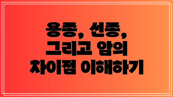 용종, 선종, 그리고 암의 차이점 이해하기