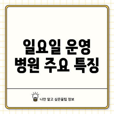 일요일 운영 병원 주요 특징