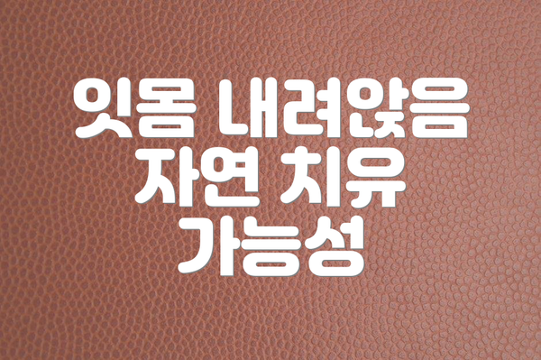 잇몸 내려앉음 자연 치유 가능성