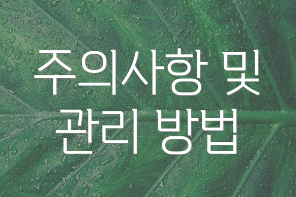 주의사항 및 관리 방법