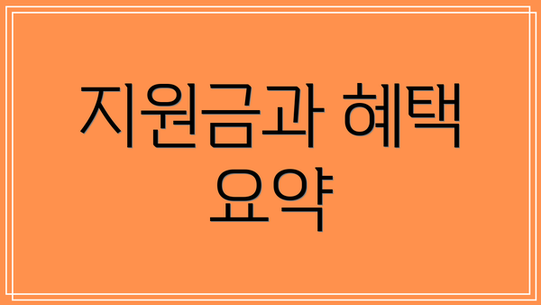지원금과 혜택 요약