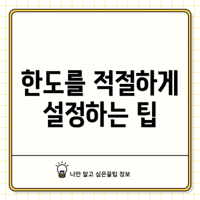 한도를 적절하게 설정하는 팁