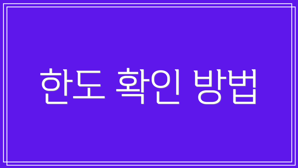 한도 확인 방법