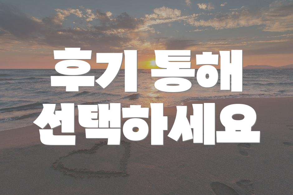 후기 통해 선택하세요
