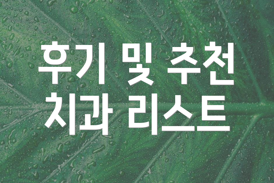 후기 및 추천 치과 리스트