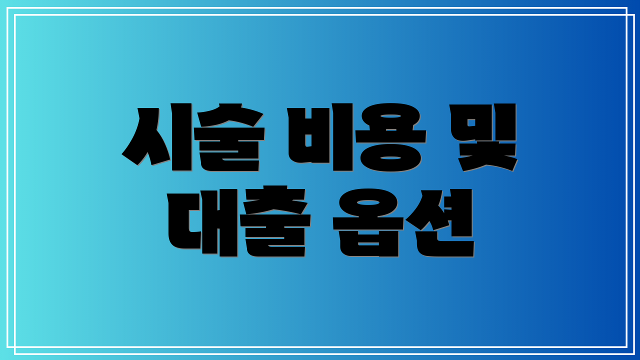 시술 비용 및 대출 옵션