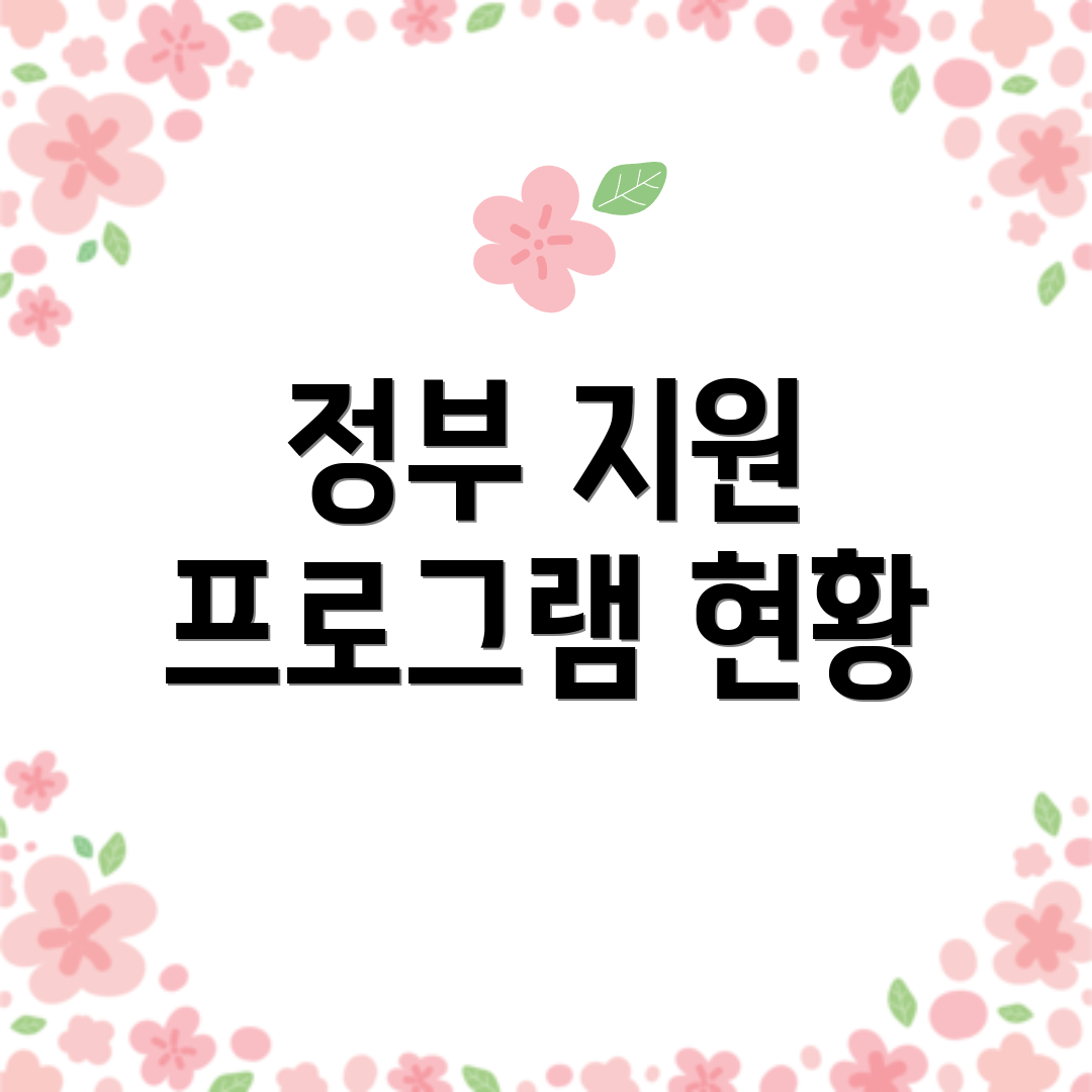 정부 지원 프로그램 현황