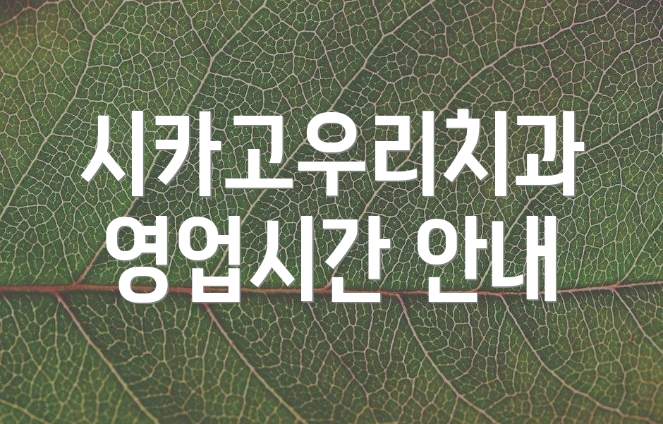 시카고우리치과 영업시간 안내