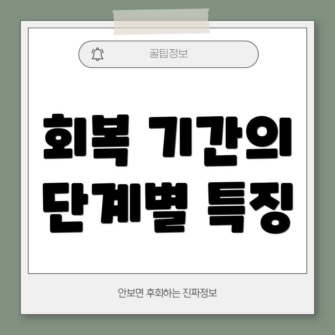 회복 기간의 단계별 특징