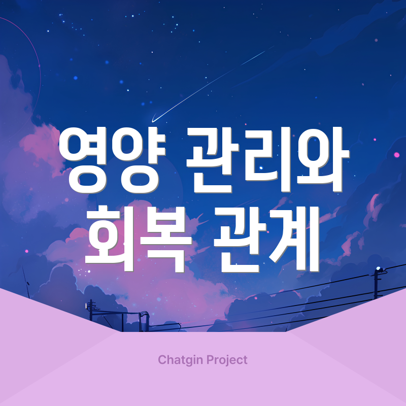 영양 관리와 회복 관계