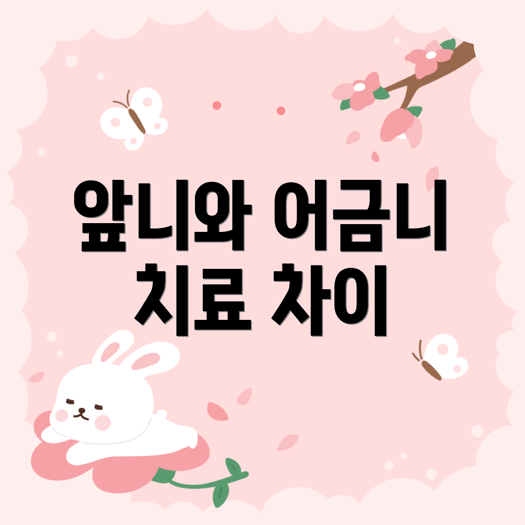 앞니와 어금니 치료 차이