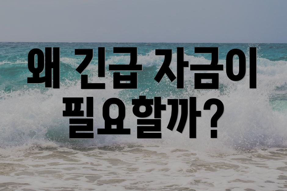 왜 긴급 자금이 필요할까?