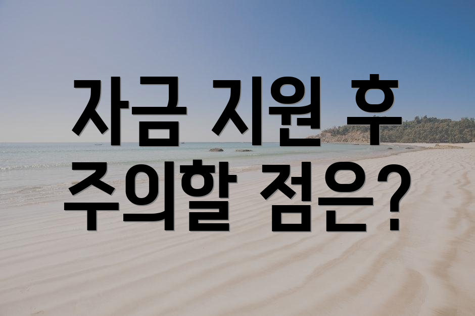 자금 지원 후 주의할 점은?
