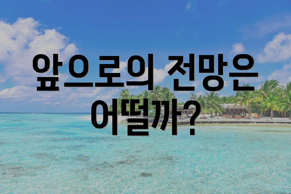 앞으로의 전망은 어떨까?