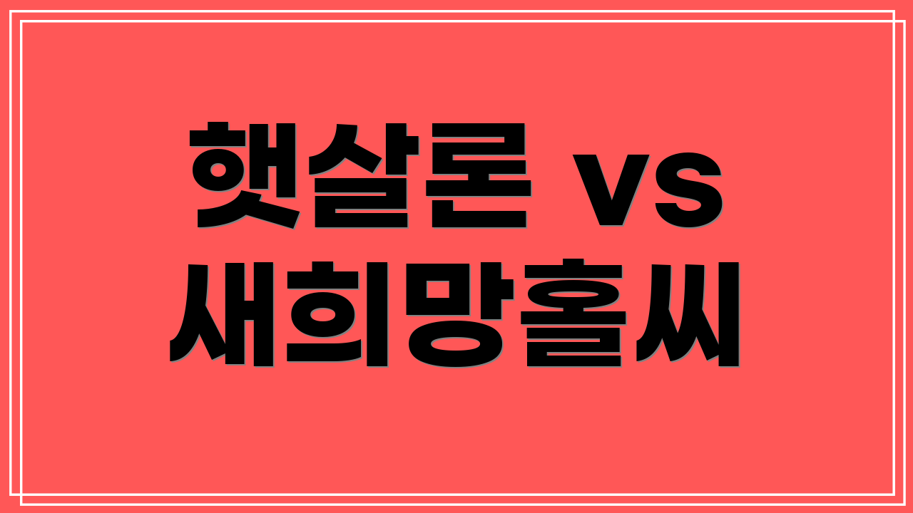 햇살론 vs 새희망홀씨