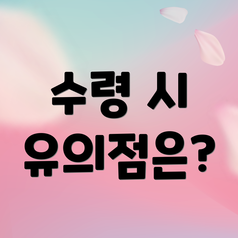 수령 시 유의점은?