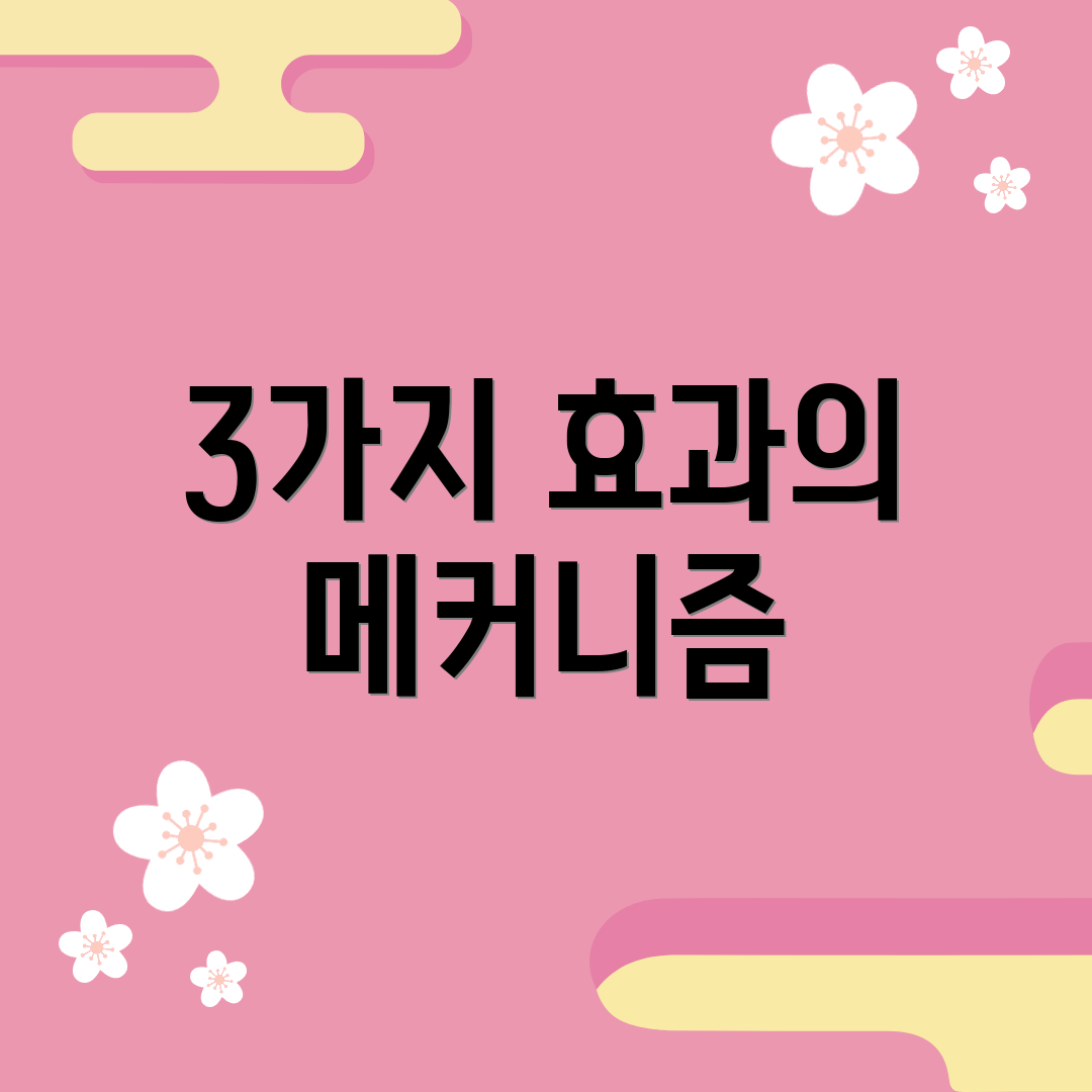 3가지 효과의 메커니즘