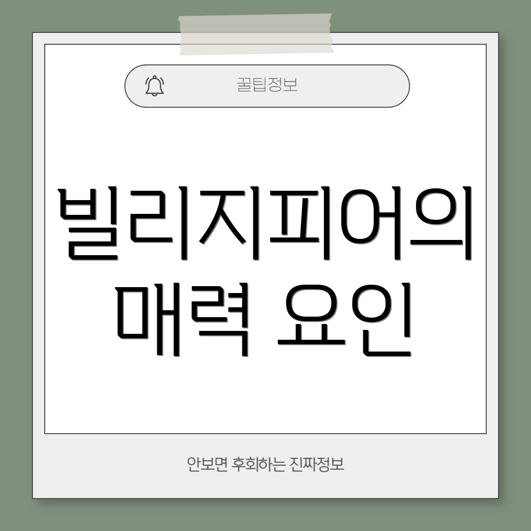 빌리지피어의 매력 요인