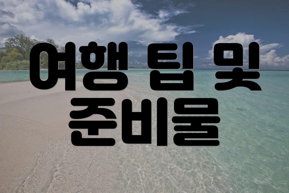 여행 팁 및 준비물