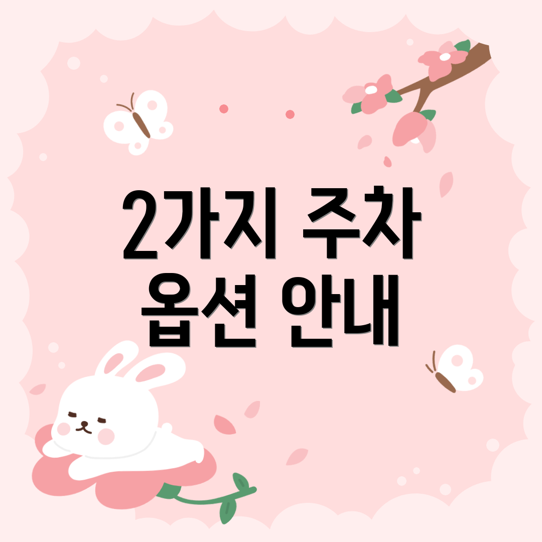 2가지 주차 옵션 안내