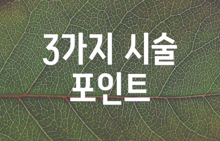 3가지 시술 포인트